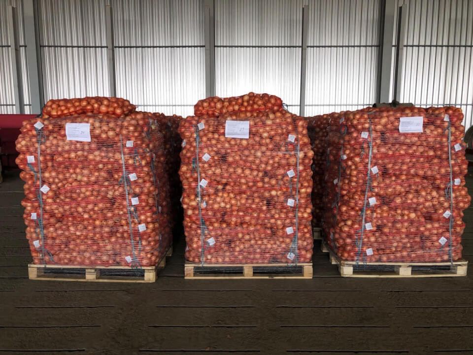 photo_2024-06-24 10.32.17